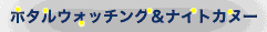 �z�^�����i�C�g�J�k�[